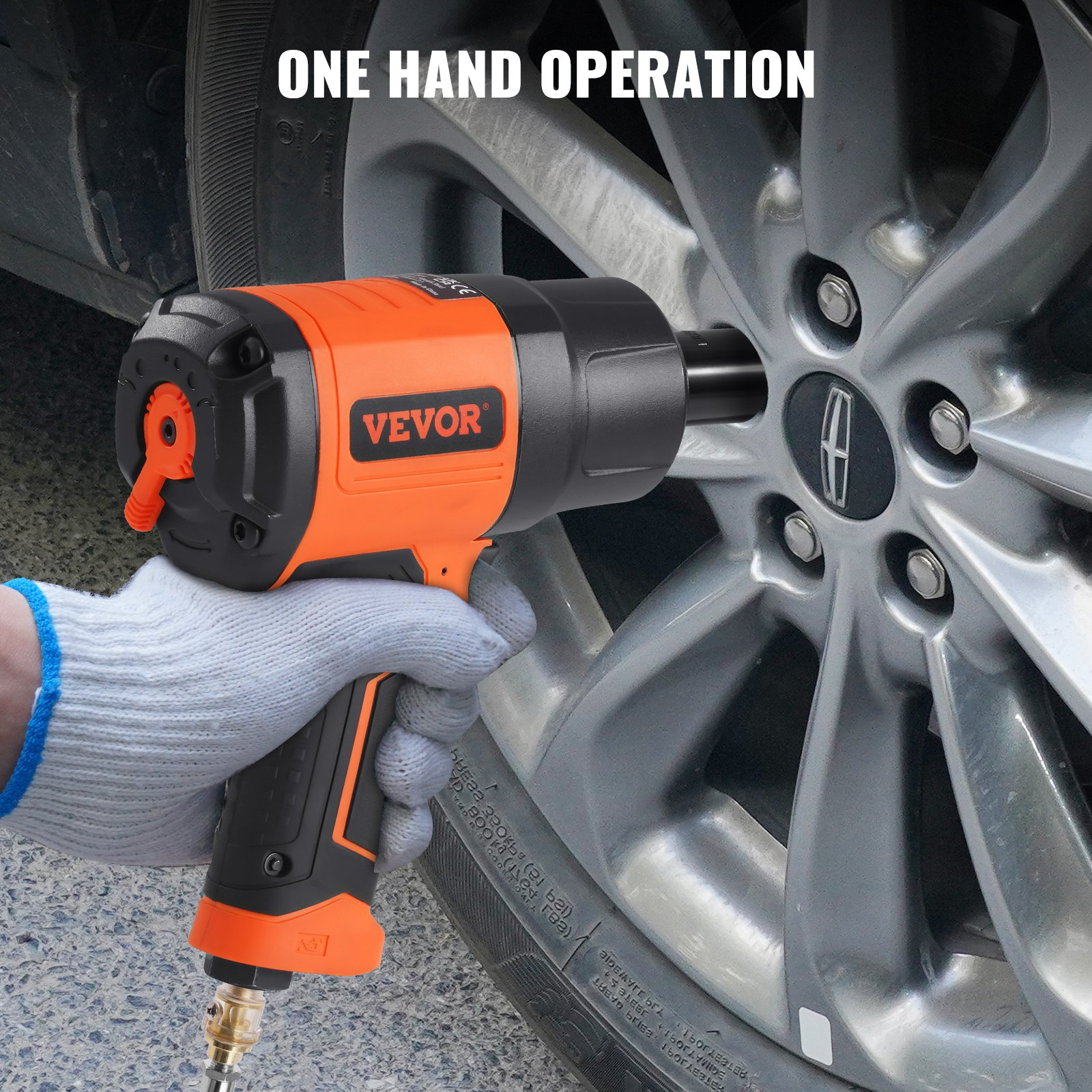 81827169