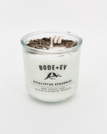 Eucalyptus Spearmint | Fresh Spa Scent