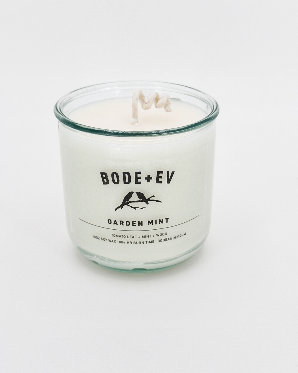 Garden Mint | Fresh Mint · Eucalyptus · Green Herb