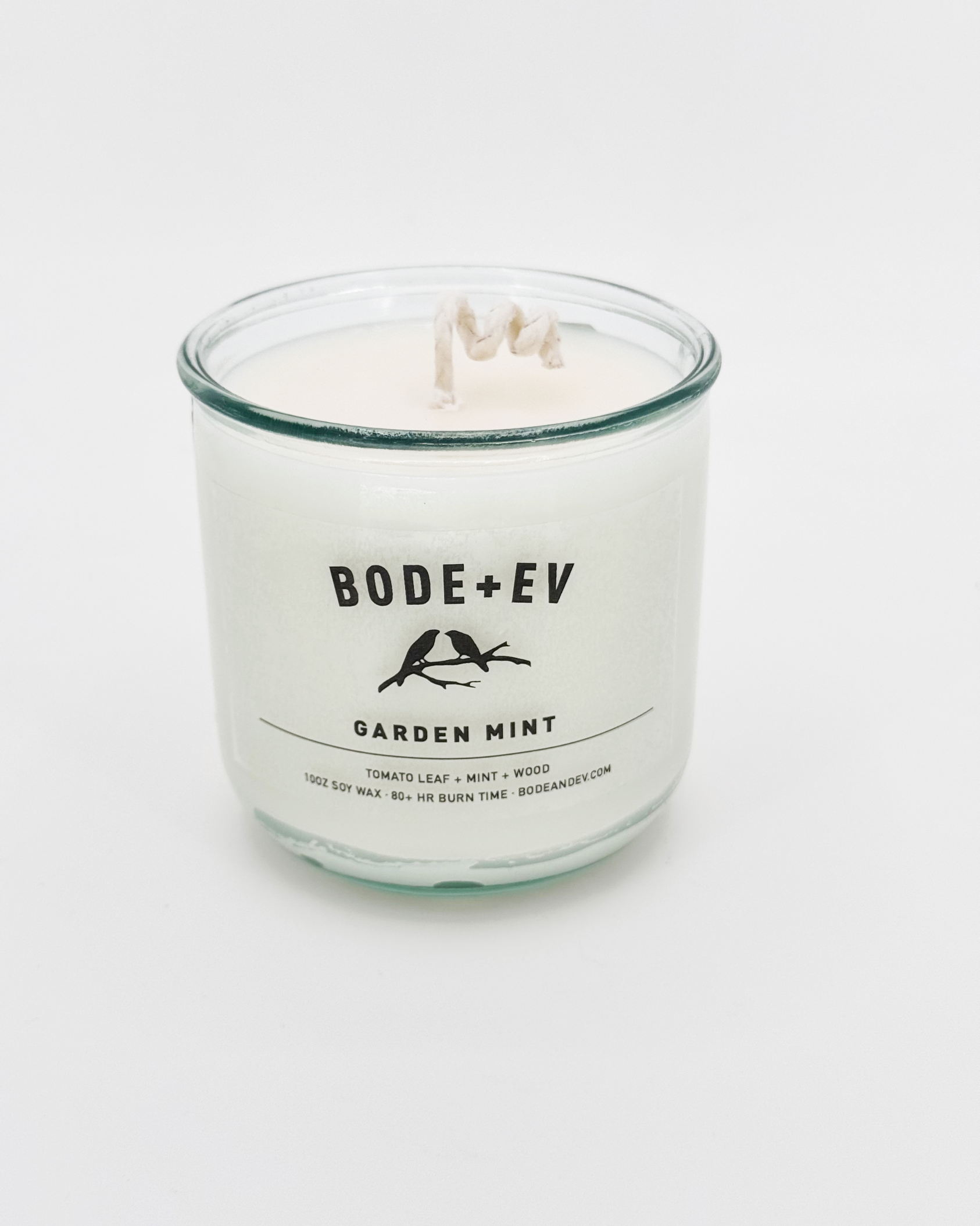 Garden Mint | Fresh Mint · Eucalyptus · Green Herb