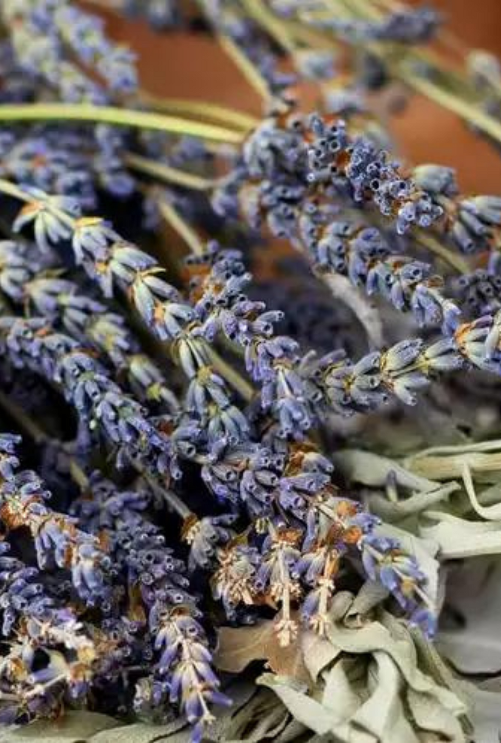 White Sage + Lavender | Herbal Sage · Soft Lavender · Warm Woods